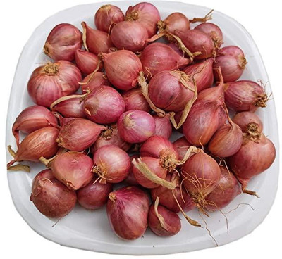 LYRS Pyaj Onion Seeds- 40 Seed(40 per packet)