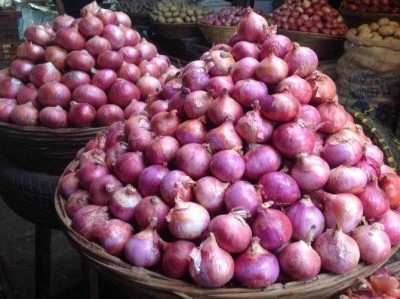 LYRS Village Onion Seeds- 55 Seed(55 per packet)