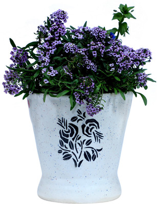 Bright Shop Plant Container Set(Ceramic)