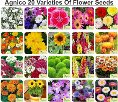 Agnico Agnico 20 Varieties of Flower 1405+ Seeds For Your Garden Beautiful Bloom High Germination Seeds with Instruction Manual Seed(1405 per packet)