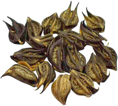 Cosmic Energy Bat Head Root/Evil Pod/Devil Pod Seed(21 per packet)
