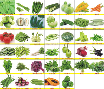 PRADHAM SEEDS Vegetables Seeds Seed(1800 per packet)