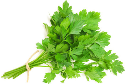 XOLDA Parsley Seed(52 per packet)