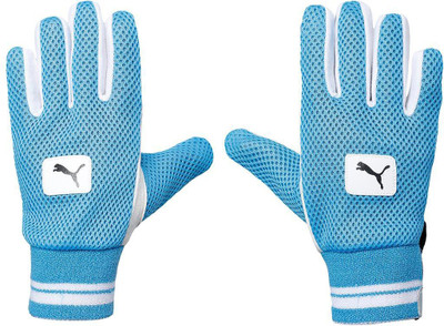 PUMA Future 20.2 WKI Wicket Keeping Gloves(Ethereal Blue-Black)