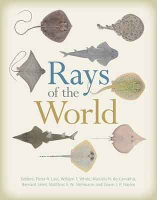 Rays of the World(English, Electronic book text, unknown)