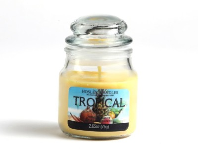 Hosley Tropical Mist Fragrance Jar Perfect for Home Decor|Burn Time 15 Hours Candle(Yellow, Pack of 1)