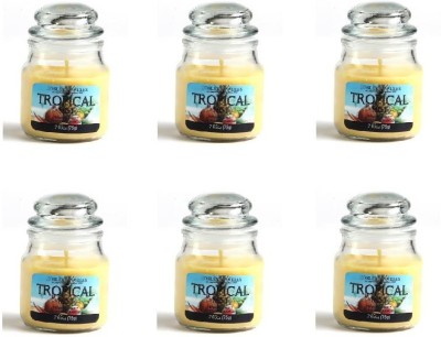 Hosley ® Set of 6 Tropical Mist Highly Fragranced, 2.65 Oz wax, Jar Candles For Decoration and Gifting Candle(Yellow, Pack of 6)
