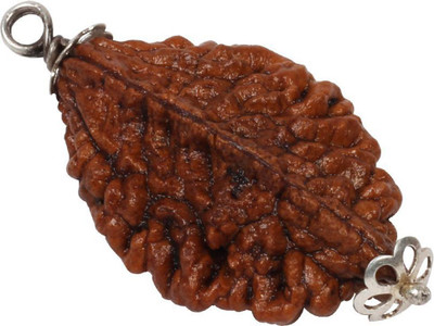 3SIX5 2 Mukhi Rudraksha Two Face Rudraksh Pendant With Lab Silver Coated Wood Pendant