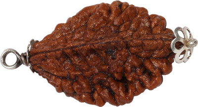 3SIX5 2 Mukhi Rudraksha Two Face Pendant With Lab Certificate Silver Coated Wood Pendant