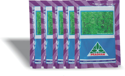 PRADHAM SEEDS FODDER GRASS SEEDS Seed(350000 per packet)