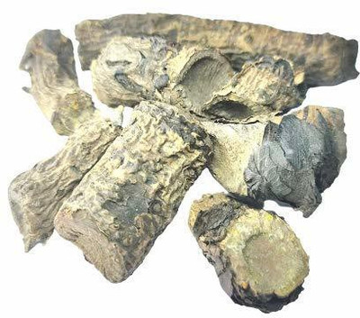 Nutrixia food Pashanbhed Lakdi , Pashan Bhed Root ,Pakhanved Jadd , Bergenia Ligulata Seed(500 g)