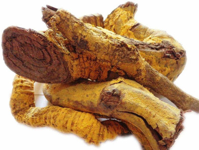 Nutrixia food Saptarangi, Saptarangi Root , Saptrangi Jadd , Salacia Oblonga Seed(50 g)