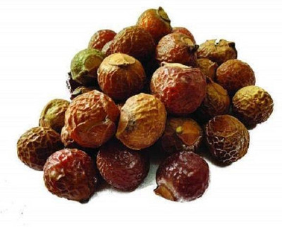 Organicgreen Herb REETHA SEED ARITHA SEED Seed(400 per packet)