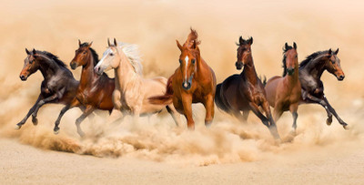 Artway 40 cm Horse Running Sticker Self Adhesive Sticker(Pack of 1)