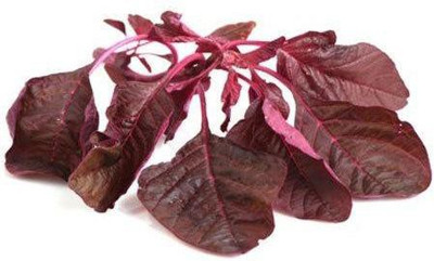 Sjeme Amaranth Seed(140 per packet)