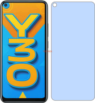 TELTREK Tempered Glass Guard for VIVO 1938 (Y30) (Impossible AntiBlue Light)(Pack of 1)