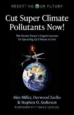 Resetting Our Future: Cut Super Climate Pollutants Now!(English, Paperback, Miller Alan)