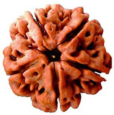 3SIX5 5 Mukhi / Five Face Rudraksh with Lab Certificate Wood Pendant