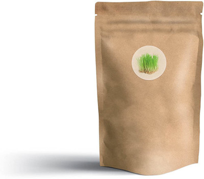 VibeX Wheatgrass Seed(125 per packet)