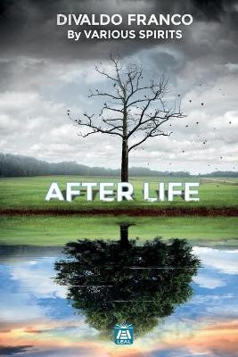 After Life(English, Paperback, Franco Divaldo Pereira)