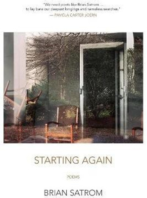 Starting Again(English, Paperback, Satrom Brian)