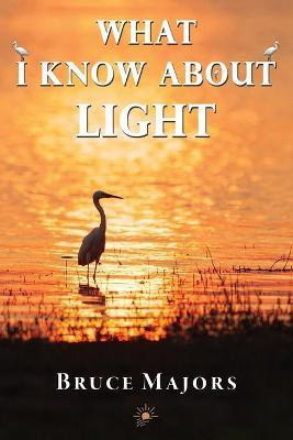 What I Know About Light(English, Paperback, Majors Bruce)
