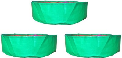 sai 3s Distributor Vegetable Plants (18 * 6 Inches) 3 Grow Bag