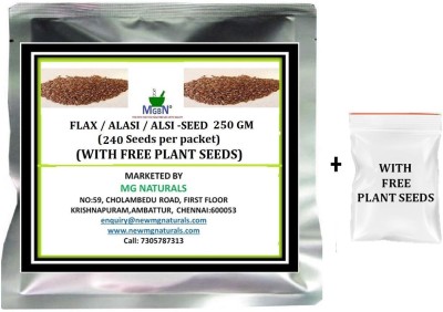 MGBN FLAX / ALASI / ALSI -SEED 250 GM (WITH FREE PLANT SEEDS) Seed(240 per packet)