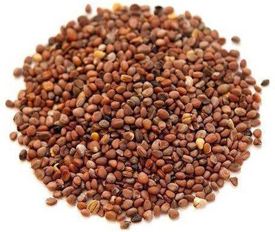 LYRS RADISH Seed(15 per packet)