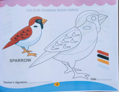 Sparrow Bird Colour Drawing Book For Pre Primary Kids(Paperback, Editorial Team)