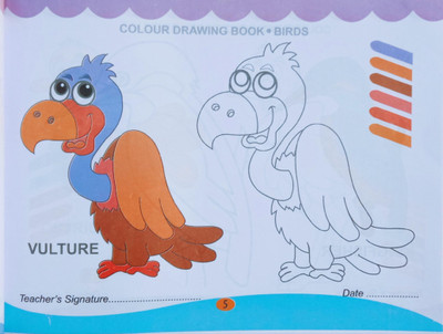 Vulture Bird Colouring Drawing Khata Book For Kids(Paperback, Editorial Team)