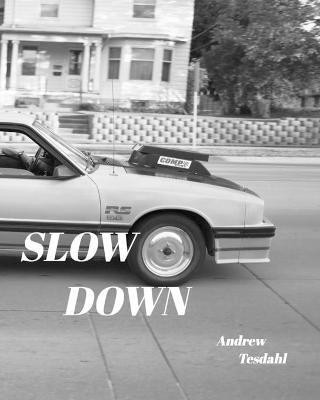 Slow Down(English, Paperback, Tesdahl Andrew)