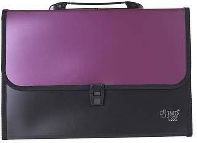 JMD Plastic GOLD 13 Pocket Expanding File Folder with Handle A4/FC Letter Size(Set Of 1, Pink)