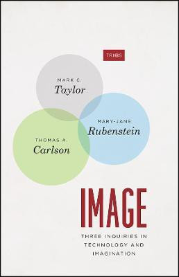 Image(English, Paperback, Taylor Mark C. Professor)