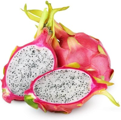 LYRS Dark Star Dragon Fruit Seeds Seed(450 per packet)