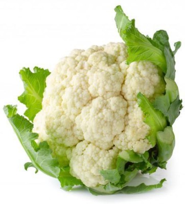 LYRS Snow Crown Cauliflower Seed- 400 Seed(400 per packet)