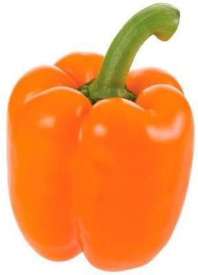 Axote Orange capsicum Seed(450 per packet)