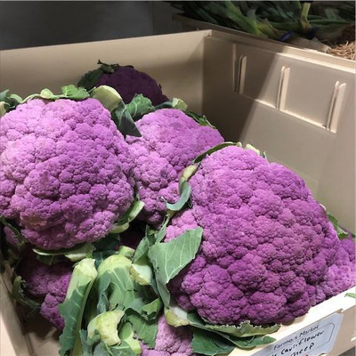 LYRS Cauliflower Seed(20 per packet)