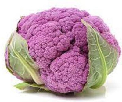 LYRS Sicilian Violet Cauliflower Seed- 15 Seed(15 per packet)