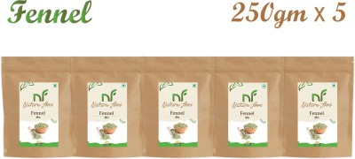 Nature food Good Quality Fennal / Saunf - 1.25kg (250gmx5)(5 x 0.25 kg)