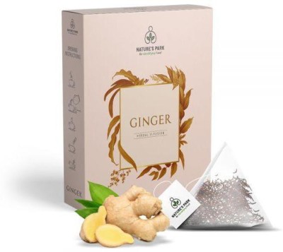 Nature's Park Ginger Herbal Infusion Sweet & Spicy Aroma - Caffeine Free, Healthy with No Preservatives Ginger Herbal Infusion Tea Box(5 Bags)