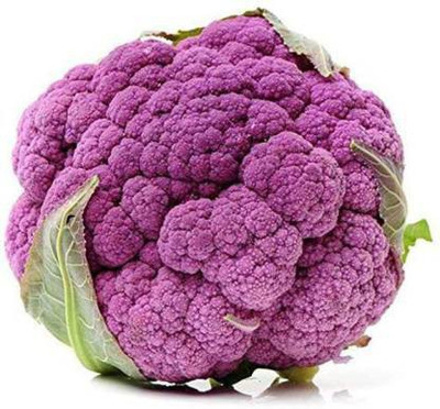 Axote Purple Cauliflower 25 Seeds X 1 Packet Seed(25 per packet)