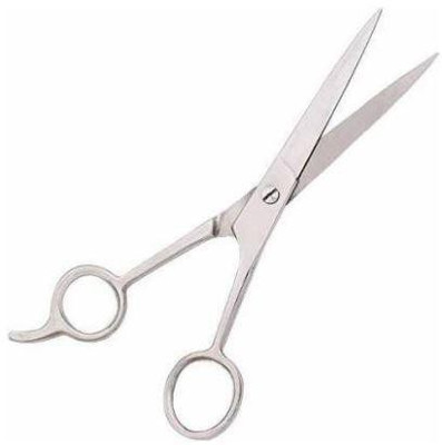 SBTs Barber Scissor Scissors(Set of 1, Silver)