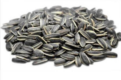 SIDDHARTH FISH FARM sunflower seeds Seed(100 per packet)