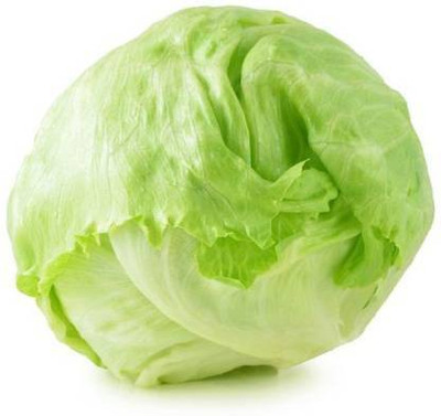 Axote Lettuce Iceberg Seed(25 per packet)