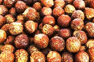 TIMOSHA REETHA|SOAPNUT Seed(100 per packet)