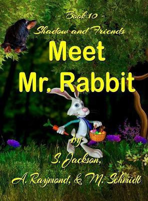 Shadow and Friends Meet Mr. Rabbit(English, Hardcover, Schmidt Mary L)