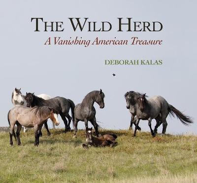 The Wild Herd(English, Hardcover, Kalas Deborah)