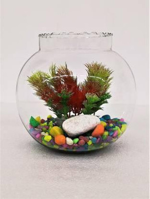 Dreamy Designs 1.5 L Fish Bowl