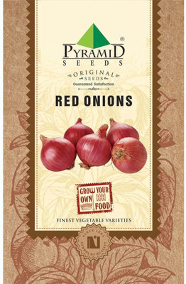 Pyramid onion, Pyaj Seed(100 per packet)